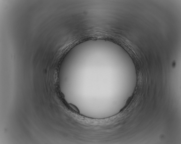 X0000091460043200708161116
