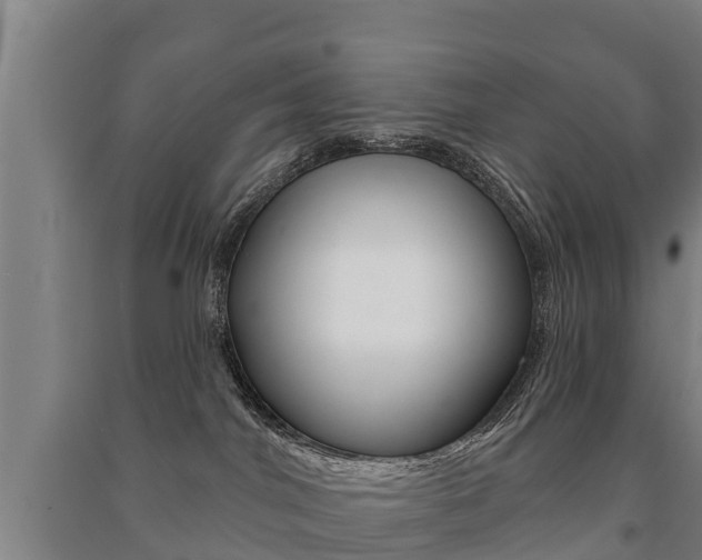 X0000091460044200708161116