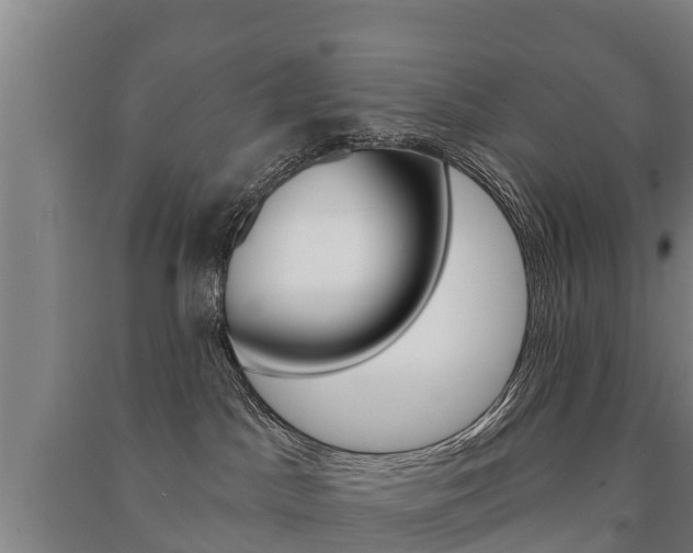 X0000091460045200708161116