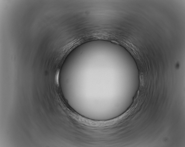 X0000091460047200708161116