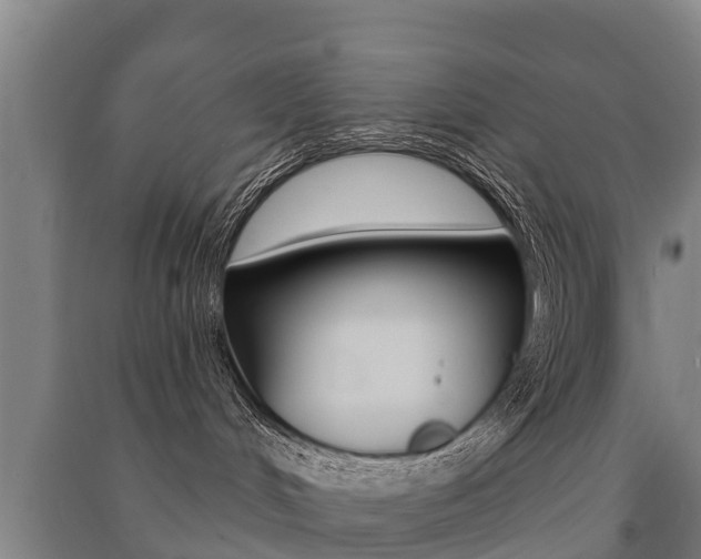 X0000091460048200708161116