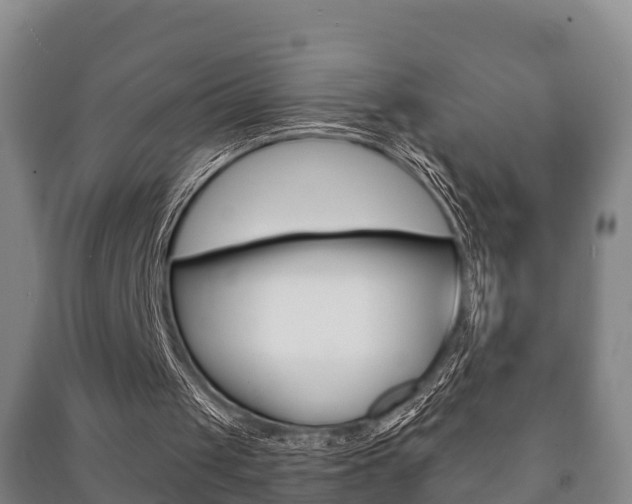 X0000091460049200708161115