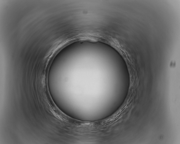 X0000091460050200708161115