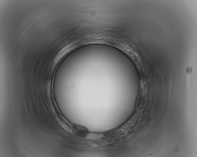 X0000091460051200708161115