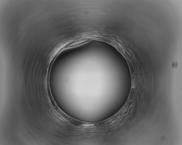 X0000091460052200708161115
