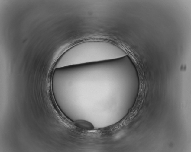 X0000091460053200708161115