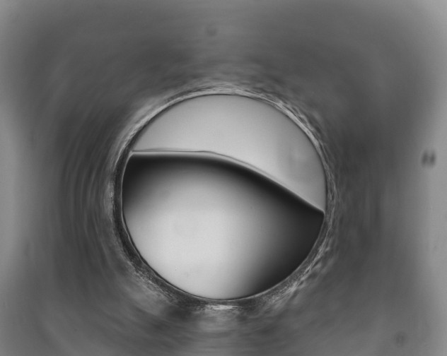 X0000091460055200708161115