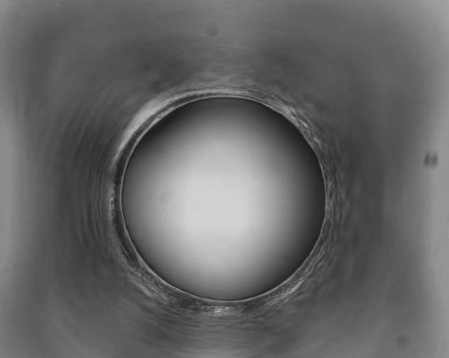 X0000091460056200708161115
