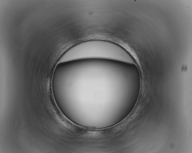 X0000091460057200708161115