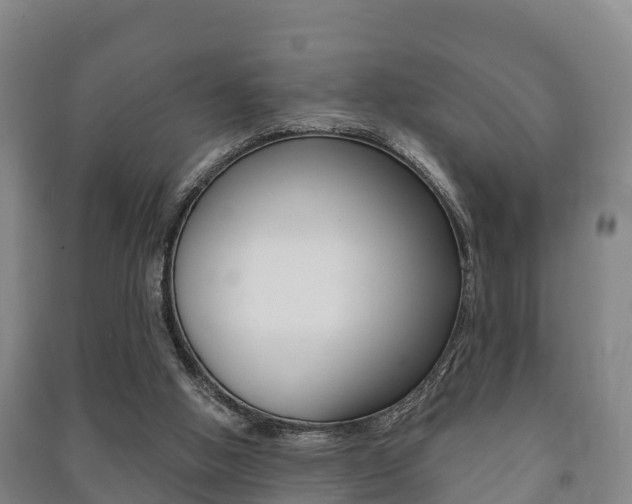 X0000091460058200708161115