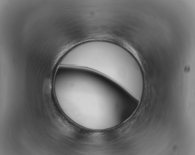 X0000091460059200708161115