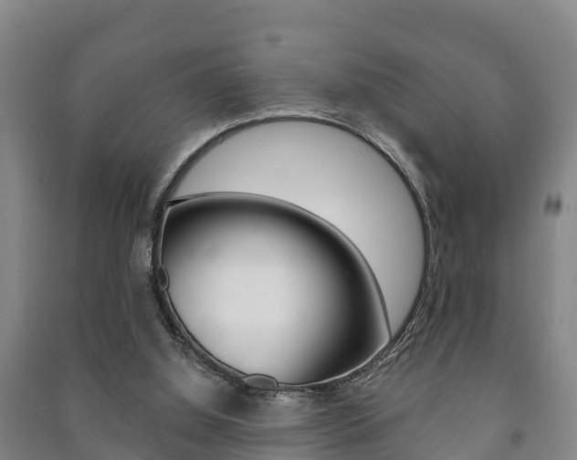 X0000091460060200708161115