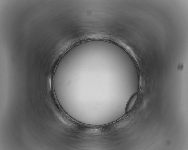 X0000091460061200708161115
