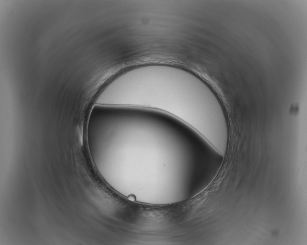 X0000091460062200708161115
