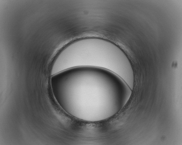 X0000091460064200708161116