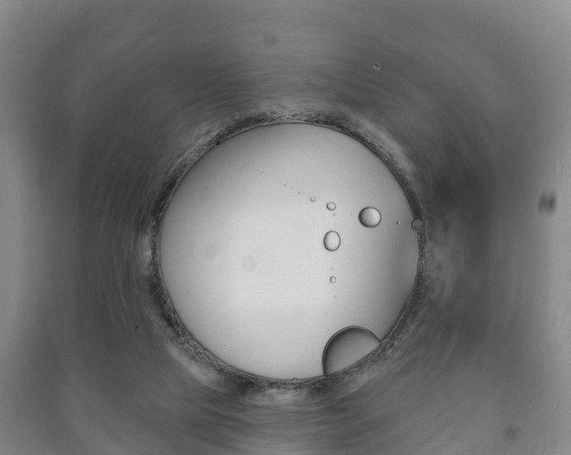 X0000091460065200708161116