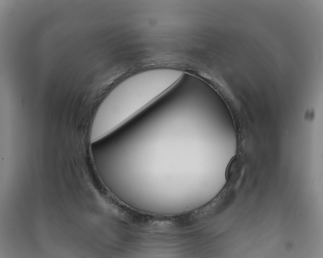 X0000091460066200708161116