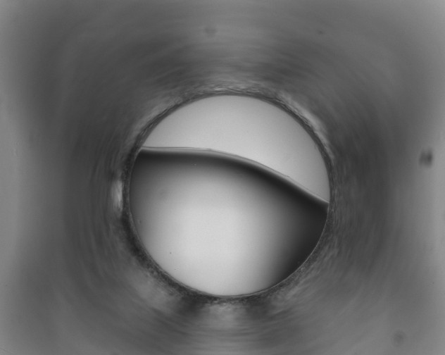 X0000091460067200708161116