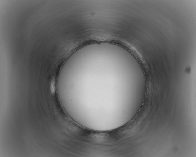 X0000091460069200708161116