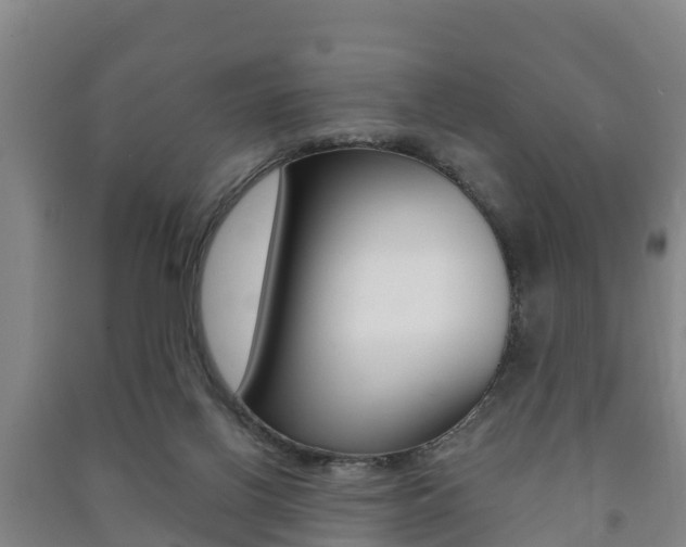 X0000091460070200708161116