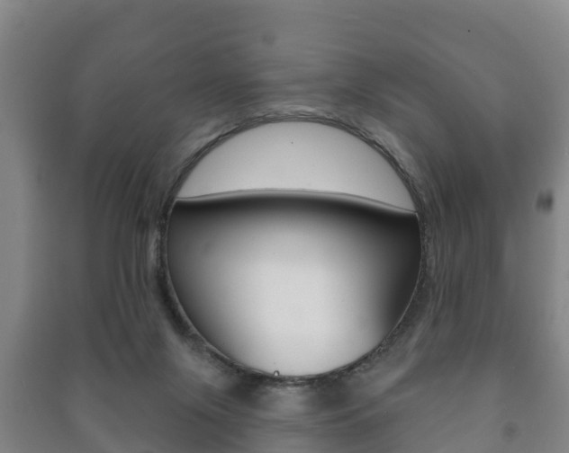 X0000091460071200708161116