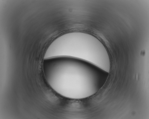 X0000091460073200708161116
