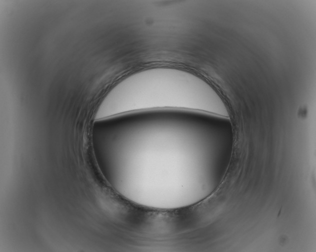 X0000091460074200708161116