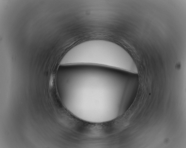 X0000091460075200708161116
