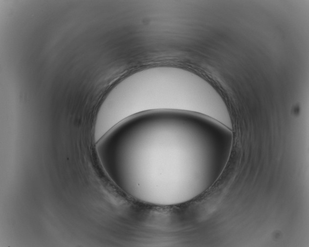 X0000091460076200708161116