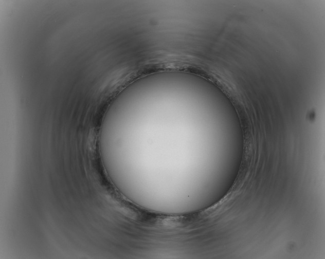 X0000091460078200708161116