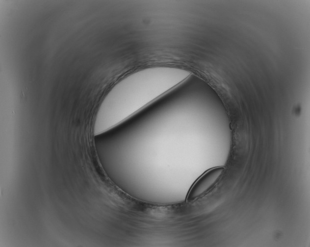 X0000091460079200708161116