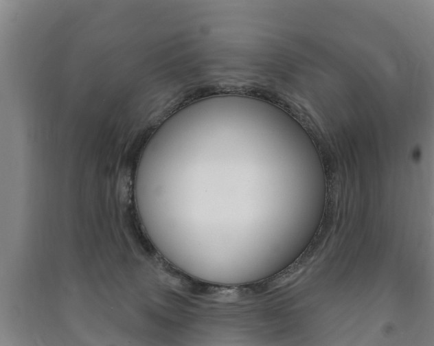 X0000091460083200708161116