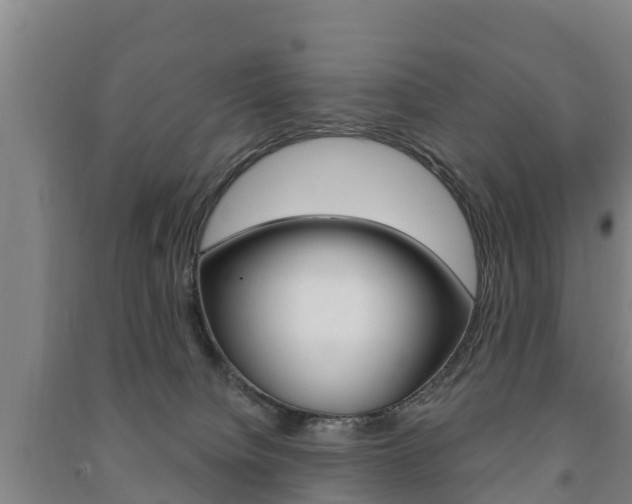 X0000091460084200708161116
