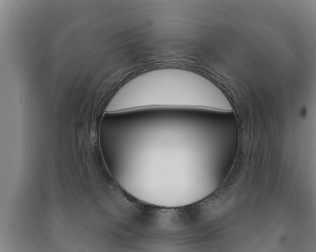 X0000091460085200708161116