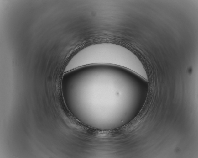 X0000091460088200708161116