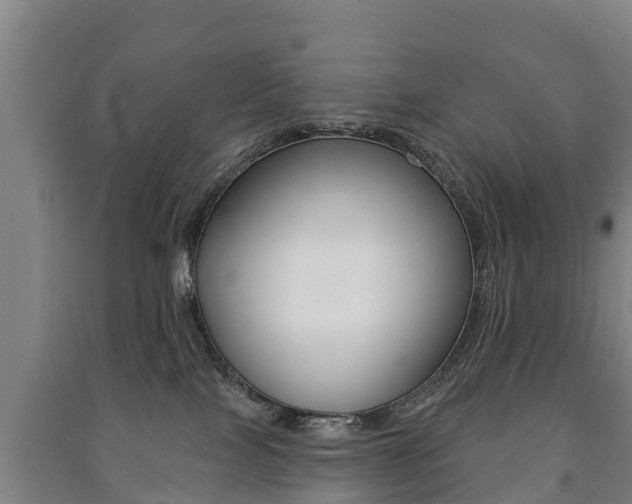 X0000091460089200708161116