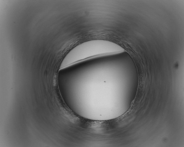X0000091460090200708161116