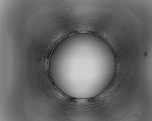 X0000091460093200708161116