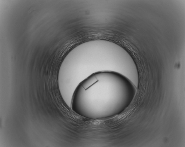 X0000091460096200708161116