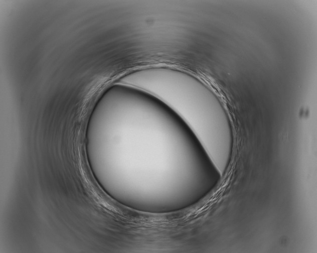 X0000091460097200708161115