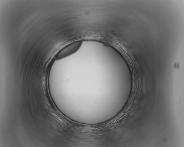 X0000091460098200708161115