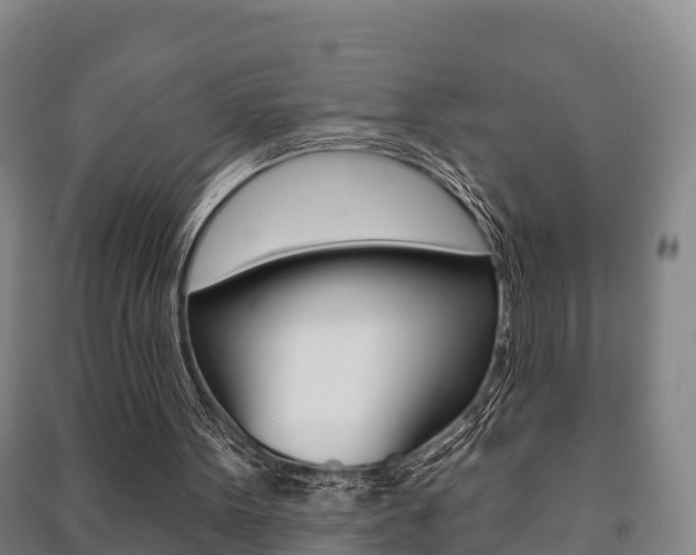 X0000091460099200708161115