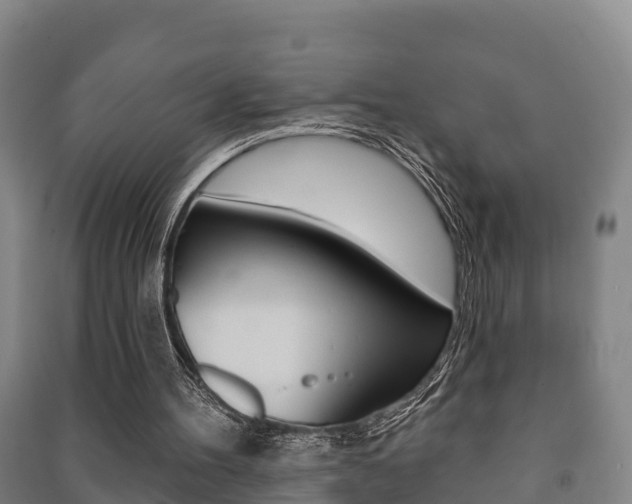 X0000091460100200708161115