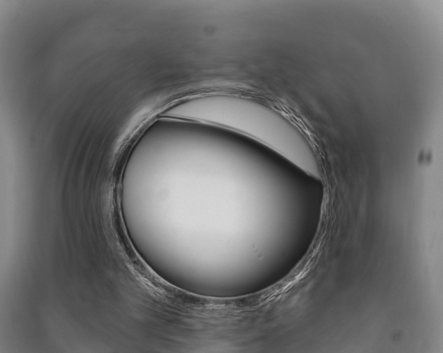 X0000091460101200708161115