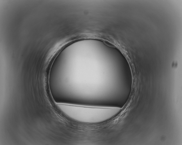 X0000091460103200708161115