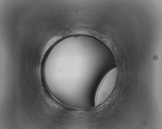 X0000091460104200708161115