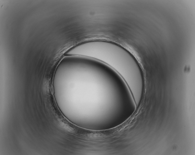 X0000091460105200708161115