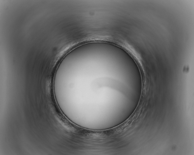 X0000091460107200708161115