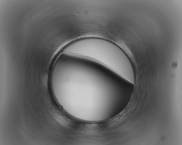 X0000091460108200708161115