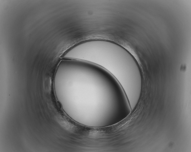 X0000091460109200708161115